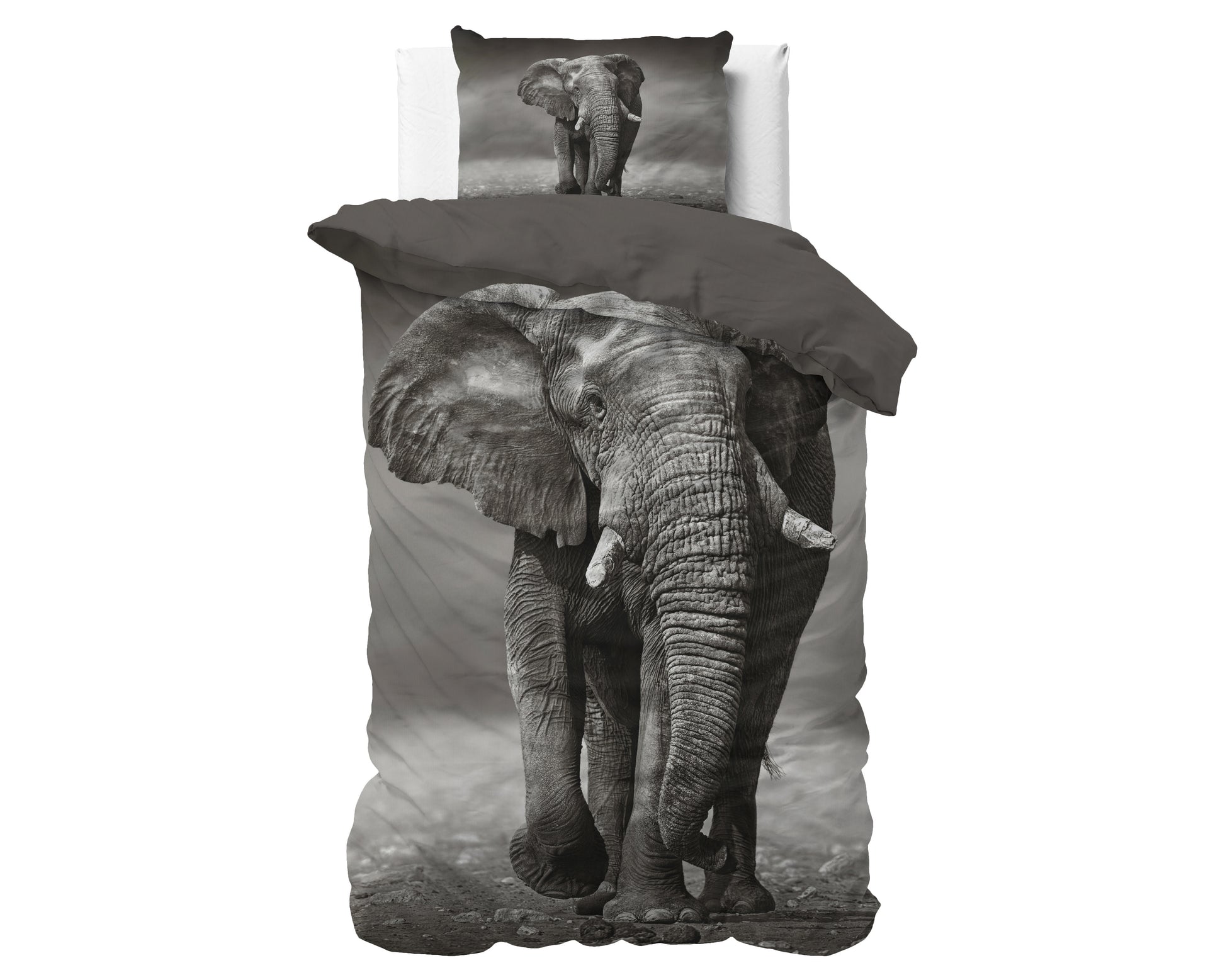 Elegant Elephant