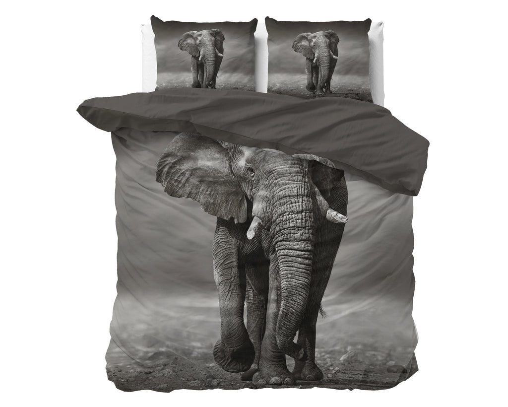 Elegant Elephant