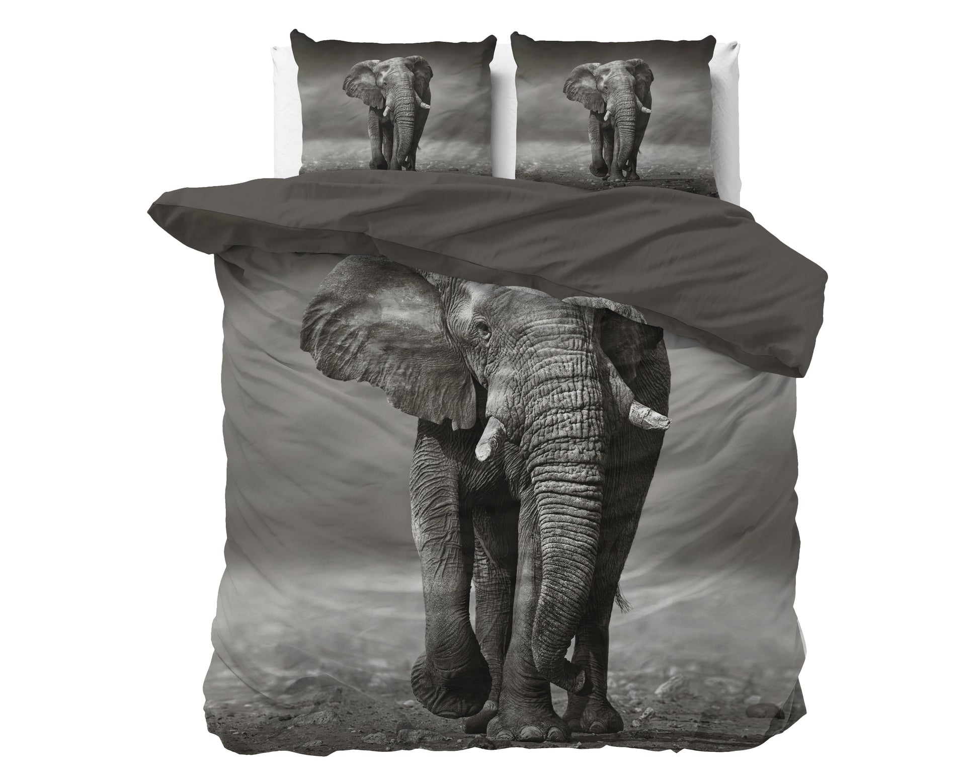 Elegant Elephant