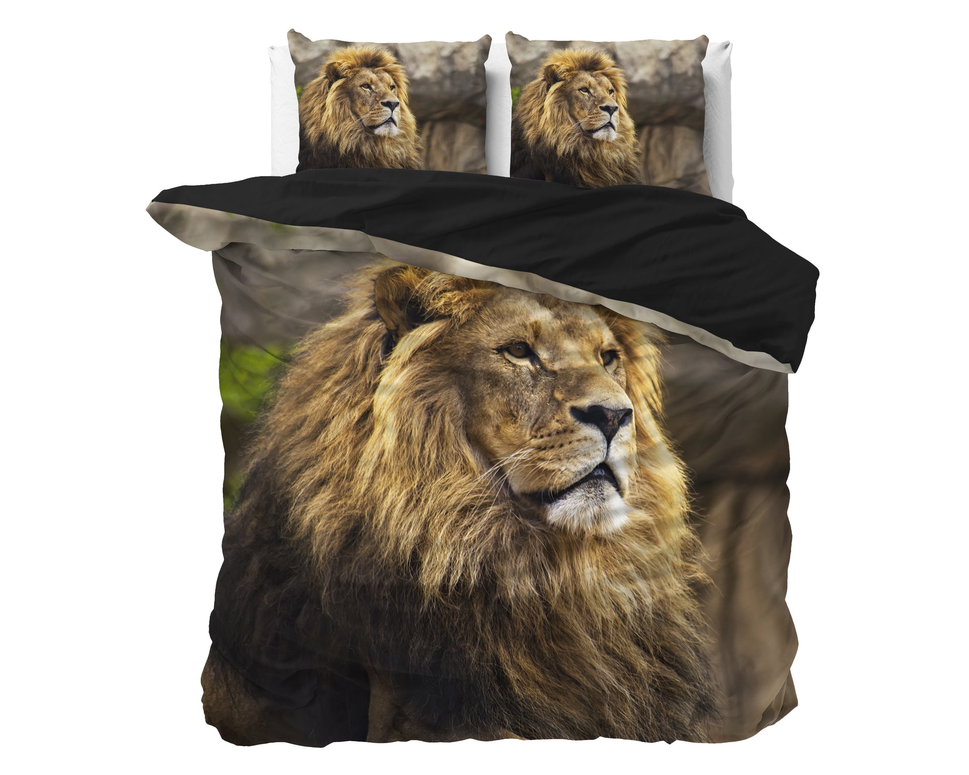 Lion Mind