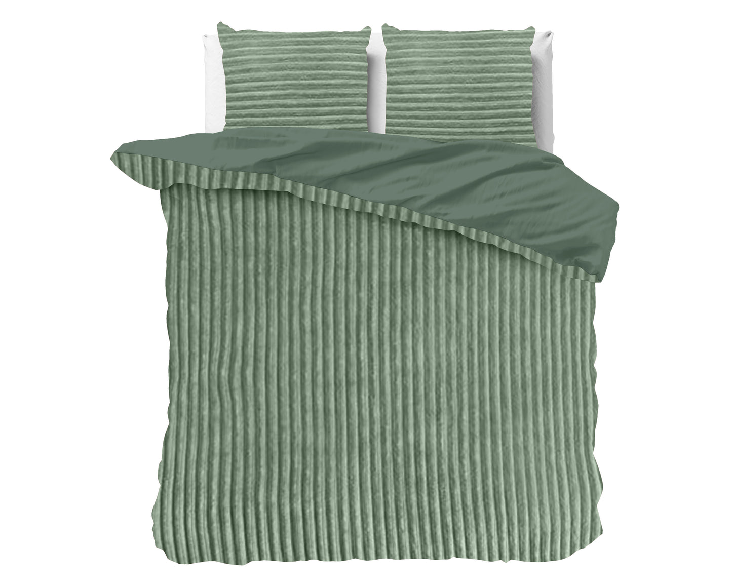 Rib Teddy