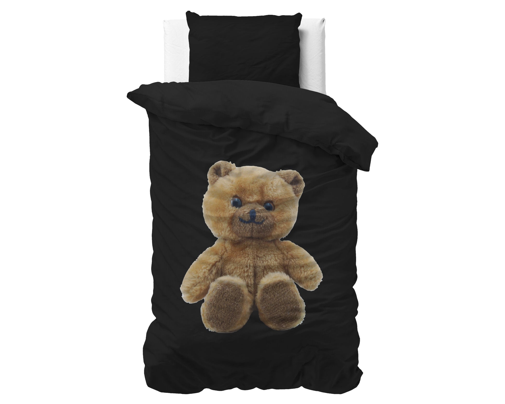 Brave Teddy