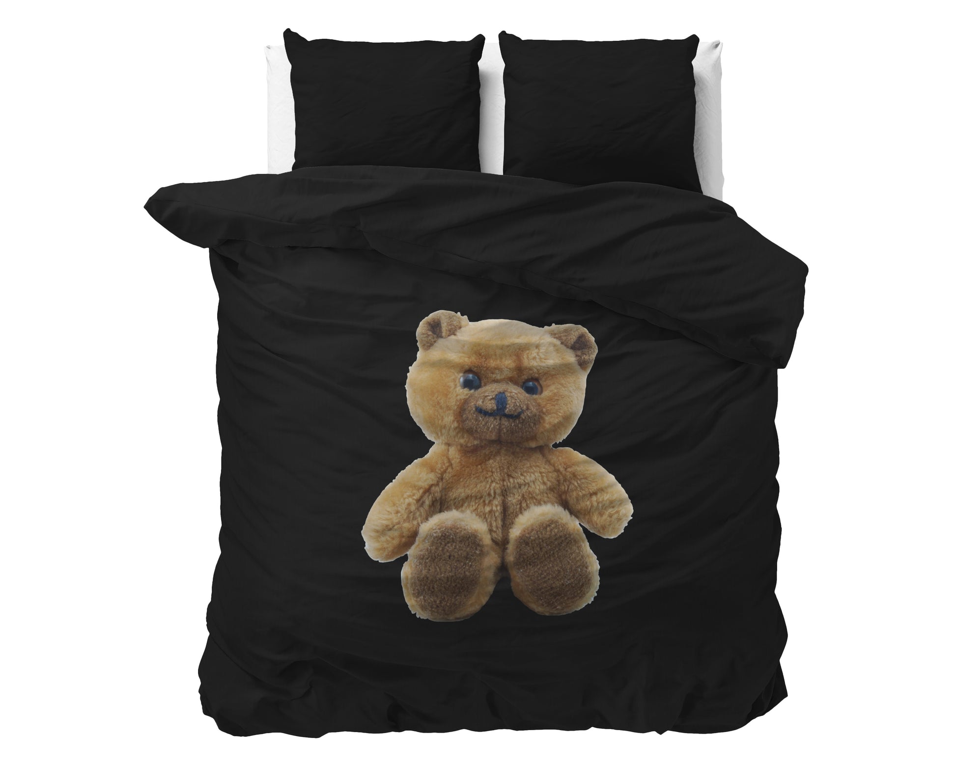 Brave Teddy