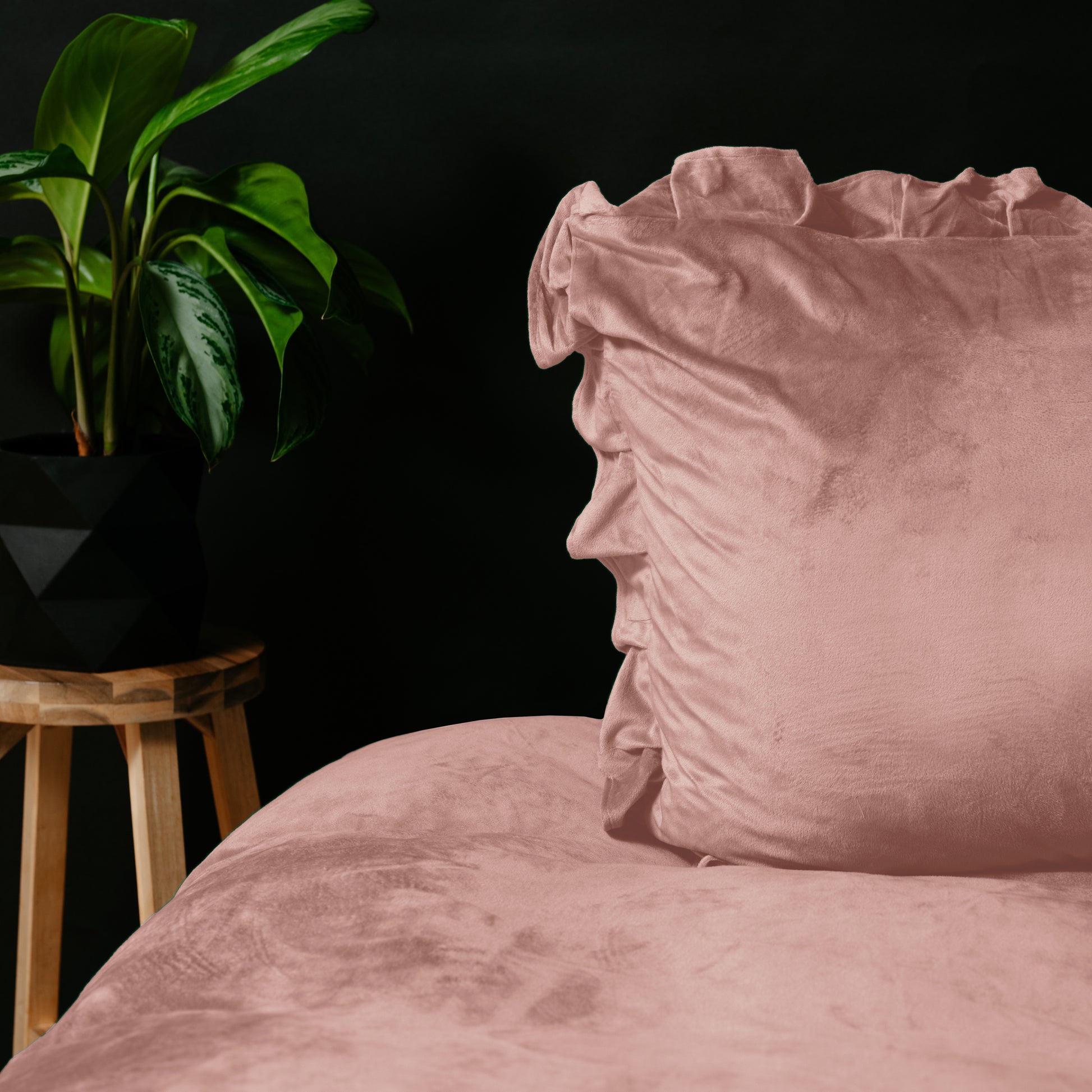 Velvet Ruffles Oud
