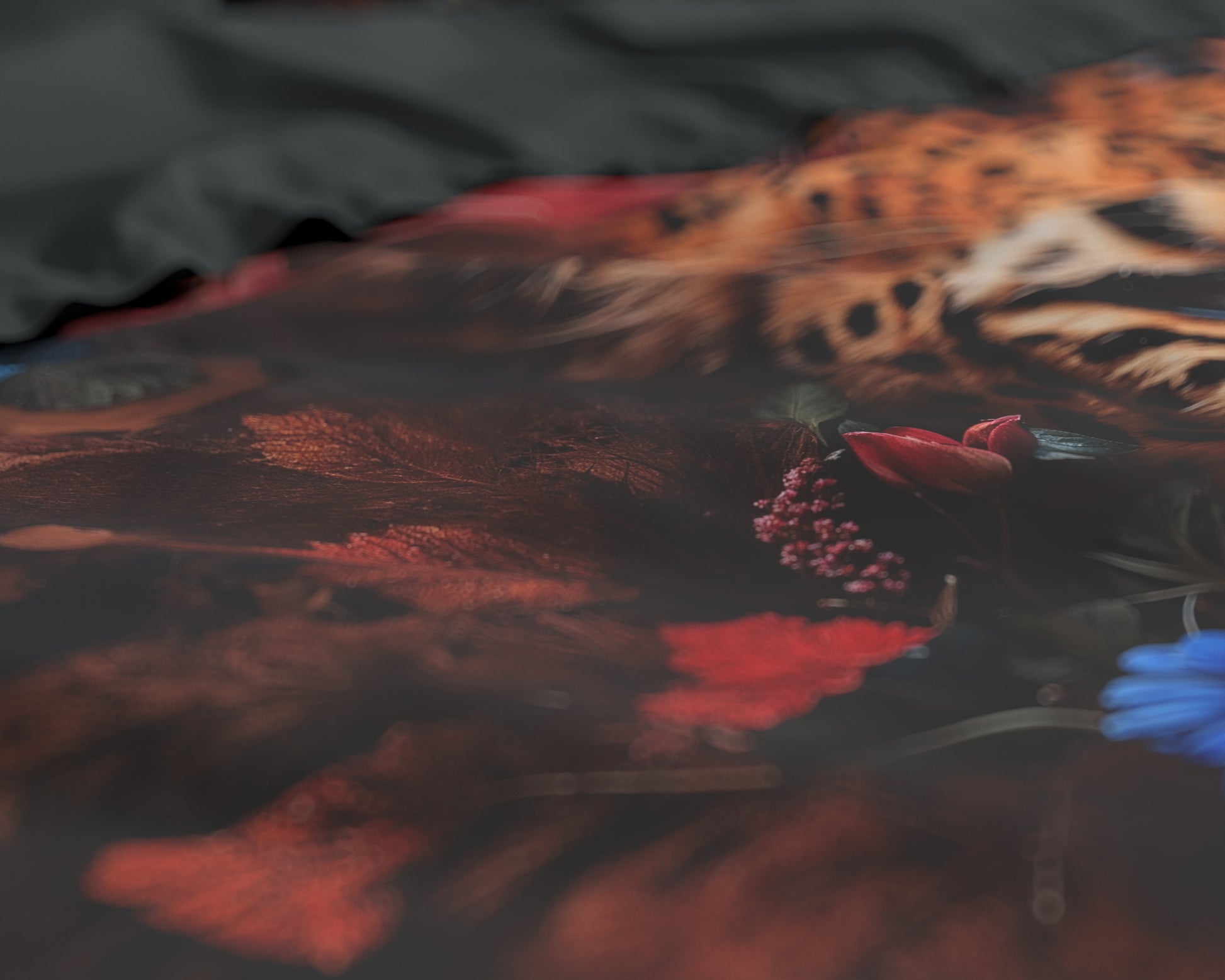 Leopardo