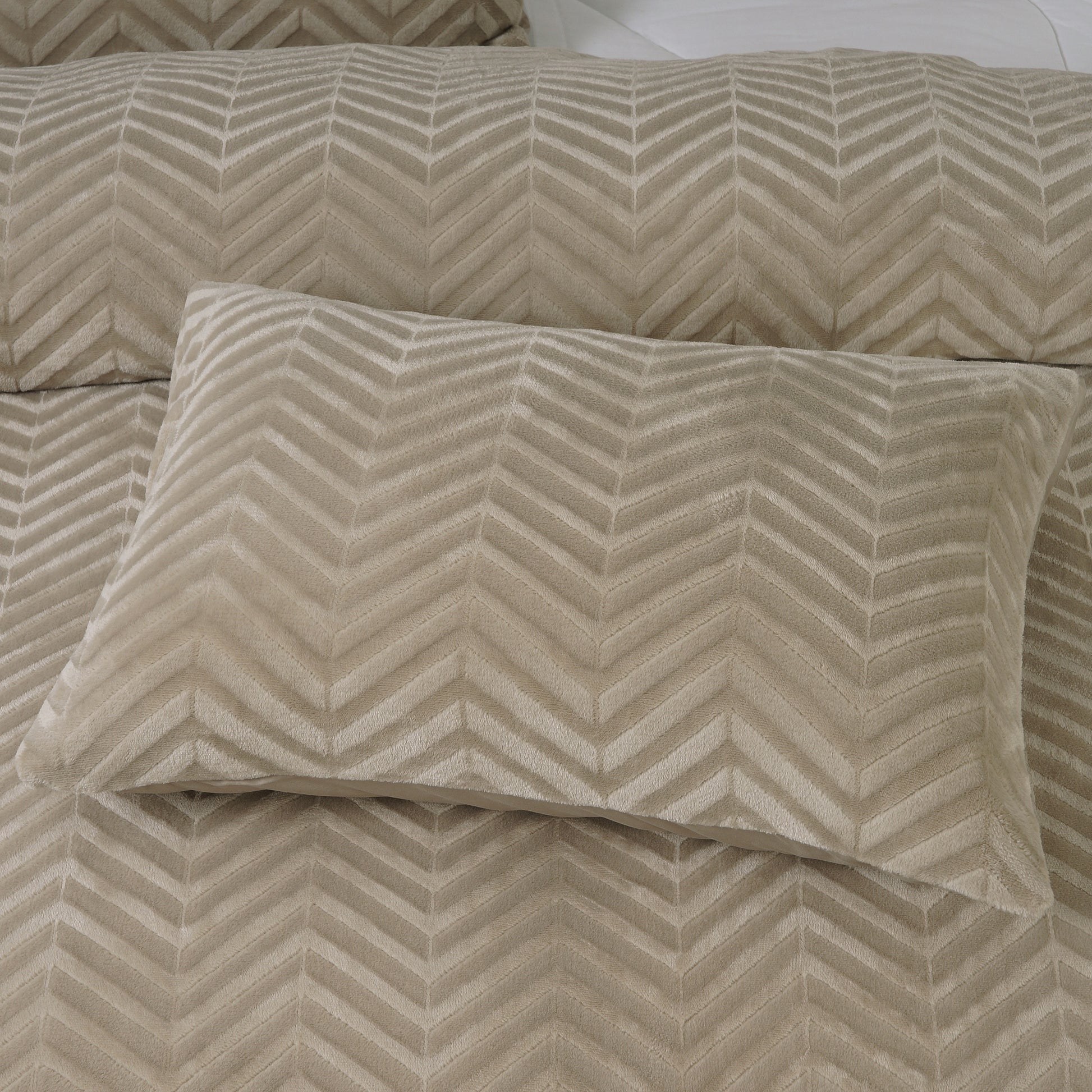 Chevron Teddy