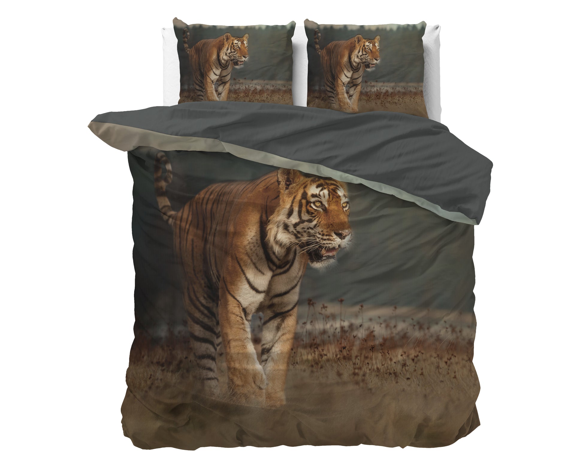 Nature Tiger