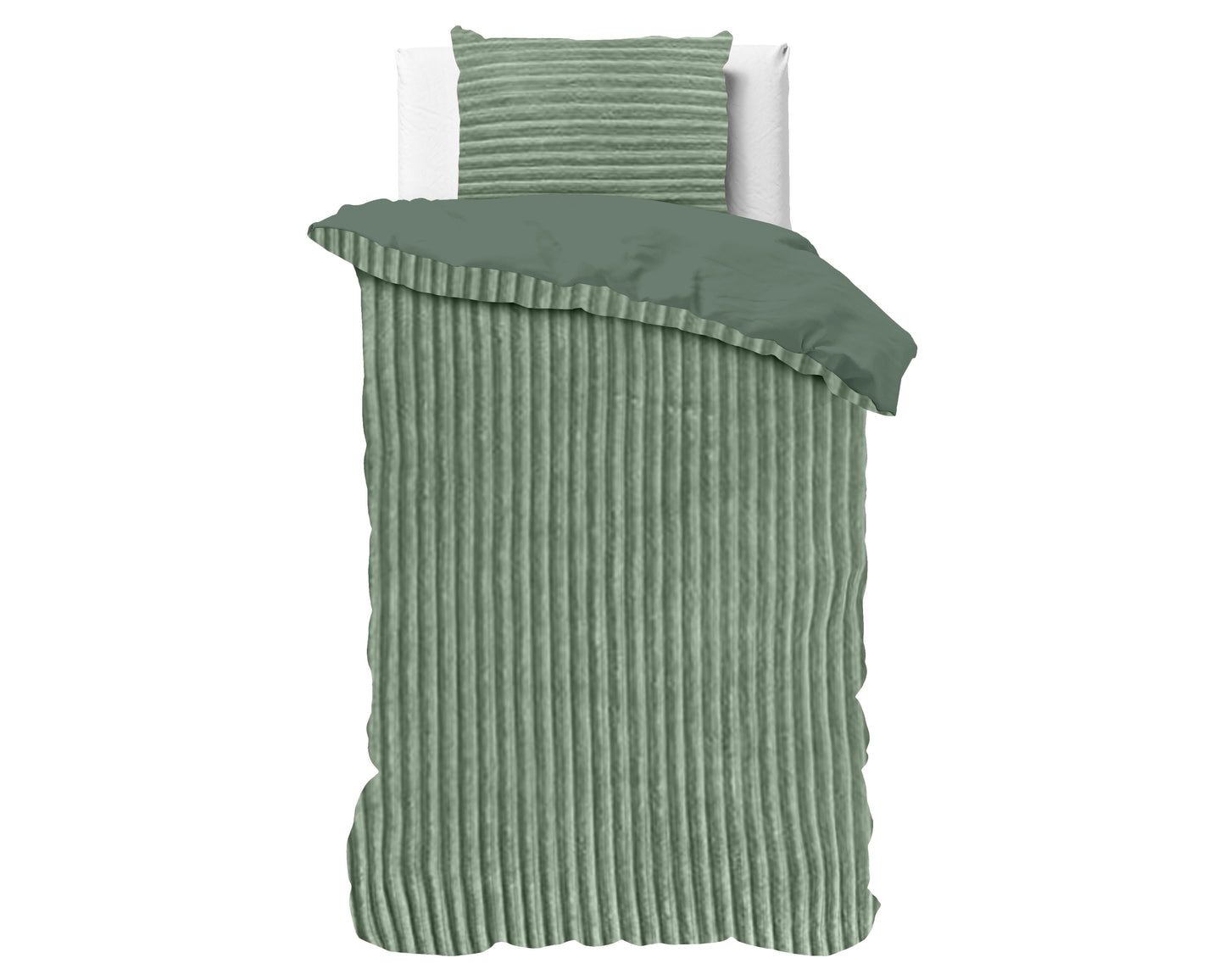 Rib Teddy