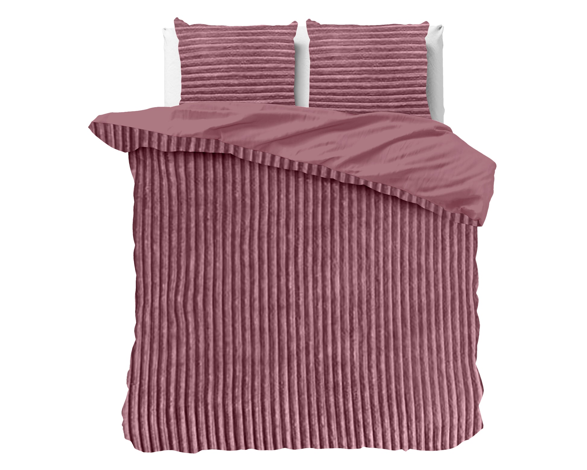 Rib Teddy Oud